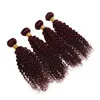 Kinky Bouclés Vierge Brésilienne Bourgogne Cheveux Humains Weave Bundles 4Pcs Lot # 99J Vin Rouge Vierge Extensions de Cheveux Humains Double Trame