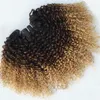 Tre ton 1b / 4/27 kinky Curly Ombre Mänskliga hårförlängningar 3st mörkrot brun till honung blondin ombre mänskligt hår vävbuntar