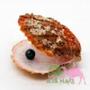 Großhandel AAAA6-7 mm runde Süßwasserperle Auster schöne pfauenblaue Perle in einer Auster Wunschperle Geheimnis Überraschungsgeschenk