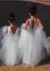 New Flower Girl Dresses V Back Ball Gown Communion Party Pageant Dress for Little Girls Kids/Children Dress for Wedding