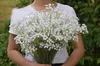 60 cm Gypsophila Babys Breath Artificial Flores De Seda Falso Planta Decoração de Casamento Em Casa 3 Cor Branco Bege Roxo