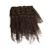 4B 4C Afro Crépus Bouclés Clip Dans Les Extensions De Cheveux Humains 7PcsSet Pleine Tête Malaisienne Clip Ins FDSHINE1869474