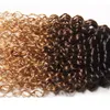 Peruwiańskie ombre ludzkie włosy 3bundles Kinky Curly 1B427 ciemny korzeń brązowy miód blondyn