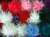 Feather Włosy Pony Klip Pióra Pin Broszka Klips do włosów Accessorry 30 sztuk / partia