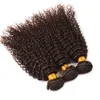 Malezja Virgin Human Hair Bundles Kinky Curly Chocolate Brown Human Hair Weft Średni brązowe 4 falujące włosy przedłużenie 3pcs dla kobiety 8079927