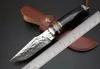 Handgjorda Damaskus Fixat Blad Knife Wood Handle Outdoor Camping Hunting Survival Fick Knife Militär Utility EDC Läderfodral Collection