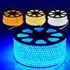 100m 110V 220V Led Strips smd 5050 LED rope light IP67 Flex LED Strip lights Outdoor Lighting string Disco Bar Christmas Party shenzhen2005