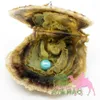 Hoge kwaliteit Goedkope Love Akoya Shell Pearl Oyster 6-7mm Rood Grijze Lichtblauwe parel Oyster met vacuümverpakking
