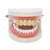 Ny skräddarsyddad exklusiv Luxury Top Bottom Gold Bling Bling Teeth Grillz Ställ vampyrklassiska tänder för män
