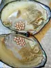 10 stks vacuüm-verpakte oesters natuurlijke zoetwater multicolor parels 3-10mm parels oester 16-22 cm grote oesters 5-10 jaar oud BP006