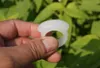 Handgemaakte pure witte jade ring. Het oppervlak van de oude paardenzadelring