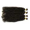 Malaysian Curly Hair Human U Tip Hair Extensions