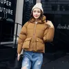 2017 Donna Basic Plus Size Cappotto femminile Slim Autunno Inverno Parka Collare Capispalla Manica lunga Giacche casual Piumino x171119