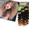 250g Kinky Curly FreeTress Hair Ombre Brown, Lila Sy i hårförlängningar Syntetisk flätning Hårförlängningar Djupvåg flätor i buntar