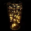 5m 10m LED -snaarlichten 8 Modi Remote Control Flexible Draad Waterdichte LED -lichten voor kerstfeestje Wedding Decorate