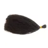 Afro Crépus Bouclés Vrac Cheveux Humains pour Femmes Noires Indien Humain Tressage Cheveux En Vrac 1 Pièce FDSHINE