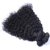 Best Quality Brazilian Hair Human Virgin Hair Weave Mongolian Malaysian Indian Peruvian Jerry Curly Hair Extension Unprocessed Free Shipping