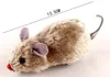 New Little Gummi Mouse Toy Buller Sound Squeak Rat Talking Toys Playing Gift for Kitten Cat Play 6 * 3 * 2,5cm 500pcs IB282