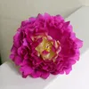 DIY 15cm konstgjorda blommor Silk Peony Flower Heads Wedding Party Decoration Supplies Simulation Fake Flowers Head Home Decoration7473686