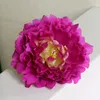 DIY 15cm konstgjorda blommor Silk Peony Flower Heads Wedding Party Decoration Supplies Simulation Fake Flowers Head Home Decoration3351053