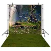 Spring Scenic Forest Photographic Background Butterflies Yellow Flowers Trees Green Meadow Outdoor Fantasy Fairy Tale Photography Backdrop