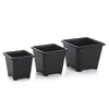 Groothandel Zwart Square Nursery Garden Succulente Potten voor Indoor Room Bonsai Planting Mini Flower Pot levert verschillende stijl potten optie