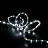 LED -remsor 100m 2 trådrundor LED -replampor Kristall Clear PVC Tube IP65 Vattenbeständig flexibel Holiday Christmas Party Decorati2286294