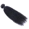 Peruansk jungfru människa hår afro kinky lockigt obearbetat remy hår väver dubbel wefts 100g/bundle 1bundle/parti kan färgas blekt