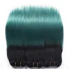 1B Grün Ombre Haarverlängerungen 9A Ombre Brasilianische Menschenhaarwebart Bundles 3 Stücke Viel Teal Ombre Brasilianisches Glattes Haar Bundles1634008