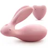 8 Functie Waterdichte USB Oplaadbare Draadloze Afstandsbediening Siliconen Vibrerende Slipjes Rabbit Vibrator Seksspeeltjes voor Dames 17901