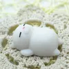 Neue Squishy Langsam Steigende Spielzeug Brötchen Spielzeug Tiere Cartoon Spielzeug Mini Katze Squishiy Mode Seltene Tier Geschenke Charms zpg285