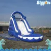 Yard Summer Playhouse Hot Design Double Lane Slide Bidaterre de glissière d'eau gonflable pour l'extérieur