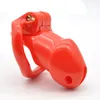 design 100% Resin 4 Ring Male Long chastity cage birdlock cages bound device with Lock