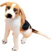 beagle en peluche