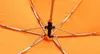 Nuovo ombrello Mini tasche Ombrello 165g Piccolo ombrello pieghevole per bambini da uomo ombrellone da sole