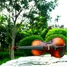 Marca V02 violín para principiantes 4/4 Arce Violino 3/4 antiguo mate de alta calidad hecho a mano violín acústico estuche arco colofonia