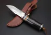 Handgjorda Damaskus Fixat Blad Knife Wood Handle Outdoor Camping Hunting Survival Fick Knife Militär Utility EDC Läderfodral Collection