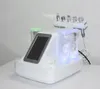 プロのHydra Microdermabrasion Hydradermabrasion Ultrasonic RFバイオリフティングコールドハンマーバブルフェイシャルクリーニングマシン