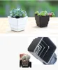 50 sztuk MOQ Hurtownia Oddychanie i Wzrost korzenia Kwadratowy Kwiatowy Pot Bonsai Plantery Plantery Lithops Creative Grow Garnki do Home Garden Sadzarka