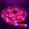 5050 LED Işıkları Büyür Kırmızı: Mavi 4: 1 5: 1 Su Geçirmez Büyüyen LED Şerit Bitki Büyüme Işık DIY Hidroponik Için Bitki Box Çadır