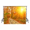 Autumn Backdrops for Photography Country Road Beautiful Orange Red Maple Leaves Sunshine Fall Scenic Wallpaper Studio Photoshoot Backgrounds