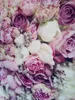 Fondali per fotografia di rose rosa bianche Bambini Bambini Romantico Fiore Sfondo da parete Matrimonio Neonato Servizio fotografico Puntelli
