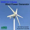 Gerador de energia eólica horizontal de 300W 12 / 24V, gerador de turbina CA, areogenerator, 5 lâminas, eixo do horizonte, baixa velocidade do Windspeed