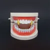14 -karatowe złoto Mały zęba zęba zędzi z zębami Hip Hip Grill wampira dracula pojedyncze metalowe kły