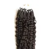 モンゴル変態巻き毛毛マイクロループ人間の髪の伸びの自然な色100gアフロ変態の巻き毛のマイクロループの髪の拡張
