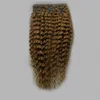 Brésilien Virgin Hair Honey Blonde Afro Clip Clie en extensions 100g 7pcs Clip dans les extensions de cheveux humains