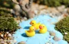 30 stks Gratis Verzending Wholesale Duurzame Cartoon Decoratieve Duck Garden Miniaturen Mini Garden Hars Craft for Wedding and Home Garden Planting