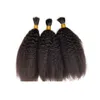 Brasiliansk kinky rak hårbulkar för svarta kvinnor nr inslag 3 buntar bulk mänskliga hårförlängningar 8-28 tum fdshine