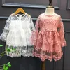 2017 new Fashion lace Princess Dresses Infant Toddler Clothes kids Clothing Baby Gift Children embroidery Flower Party Tulle Dress A313