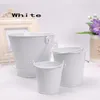 Wedding Party Potted Plants Mini Small Assorted Colored Tin Pails Buckets Can Choose Color